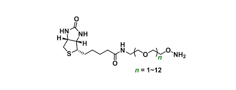 Biotin-oxyamine HCl salt